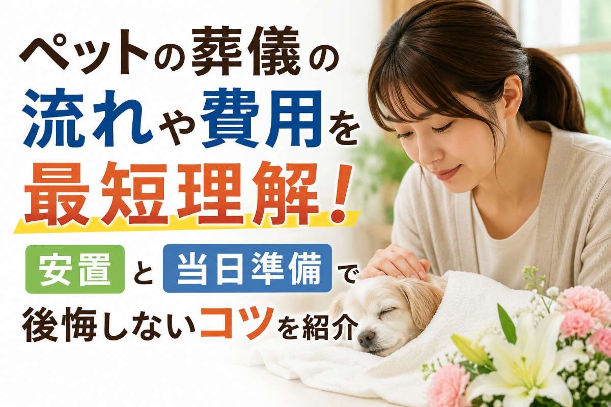 ペットの葬儀の流れや費用を最短理解！安置と当日準備で後悔しないコツを紹介